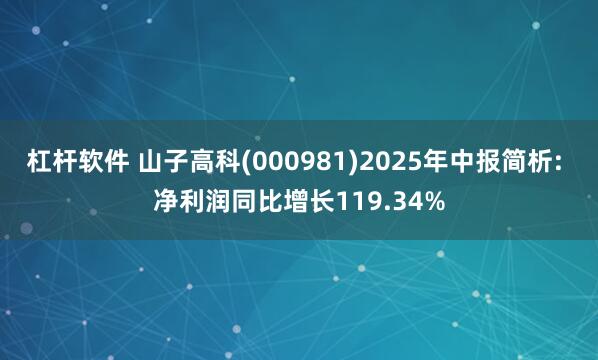 杠杆软件 山子高科(000981)2025年中报简析: 净利润同比增长119.34%