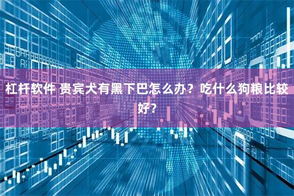 杠杆软件 贵宾犬有黑下巴怎么办？吃什么狗粮比较好？